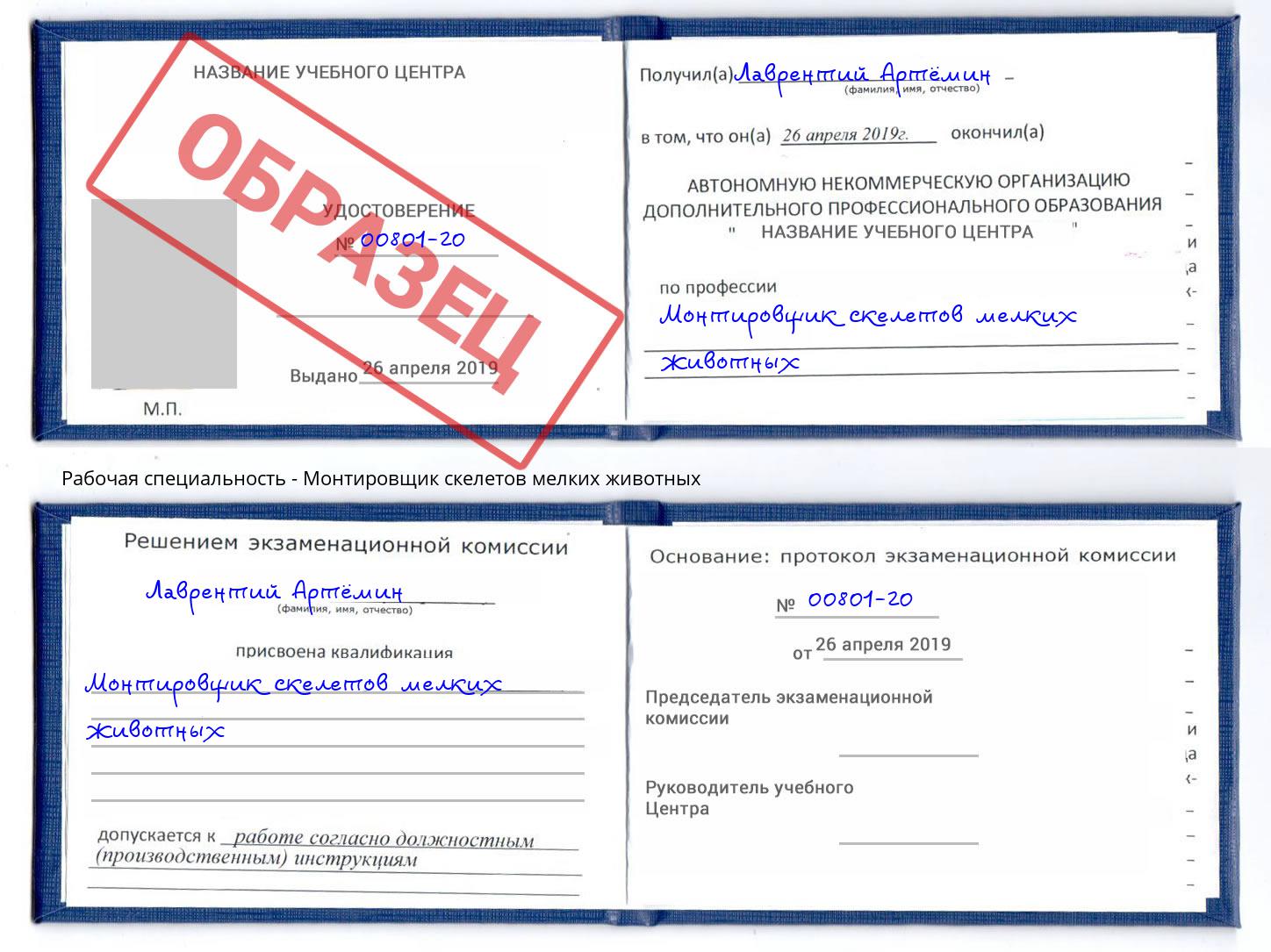 Монтировщик скелетов мелких животных Бирск