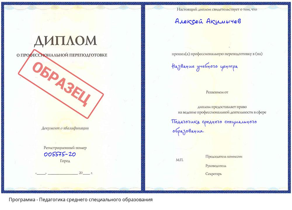 Педагогика среднего специального образования Бирск