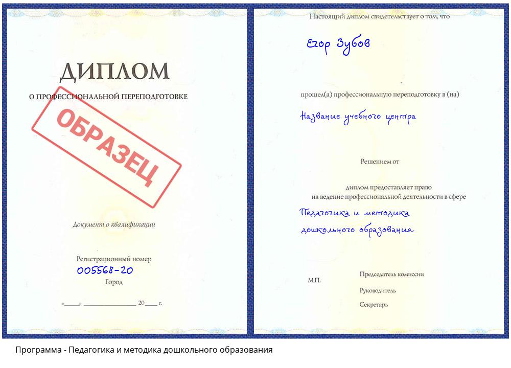 Педагогика и методика дошкольного образования Бирск