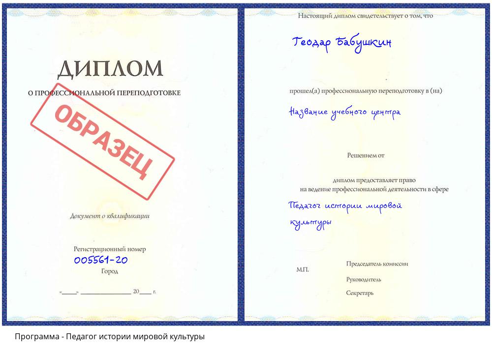 Педагог истории мировой культуры Бирск
