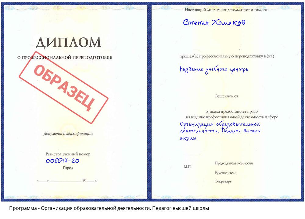 Организация образовательной деятельности. Педагог высшей школы Бирск