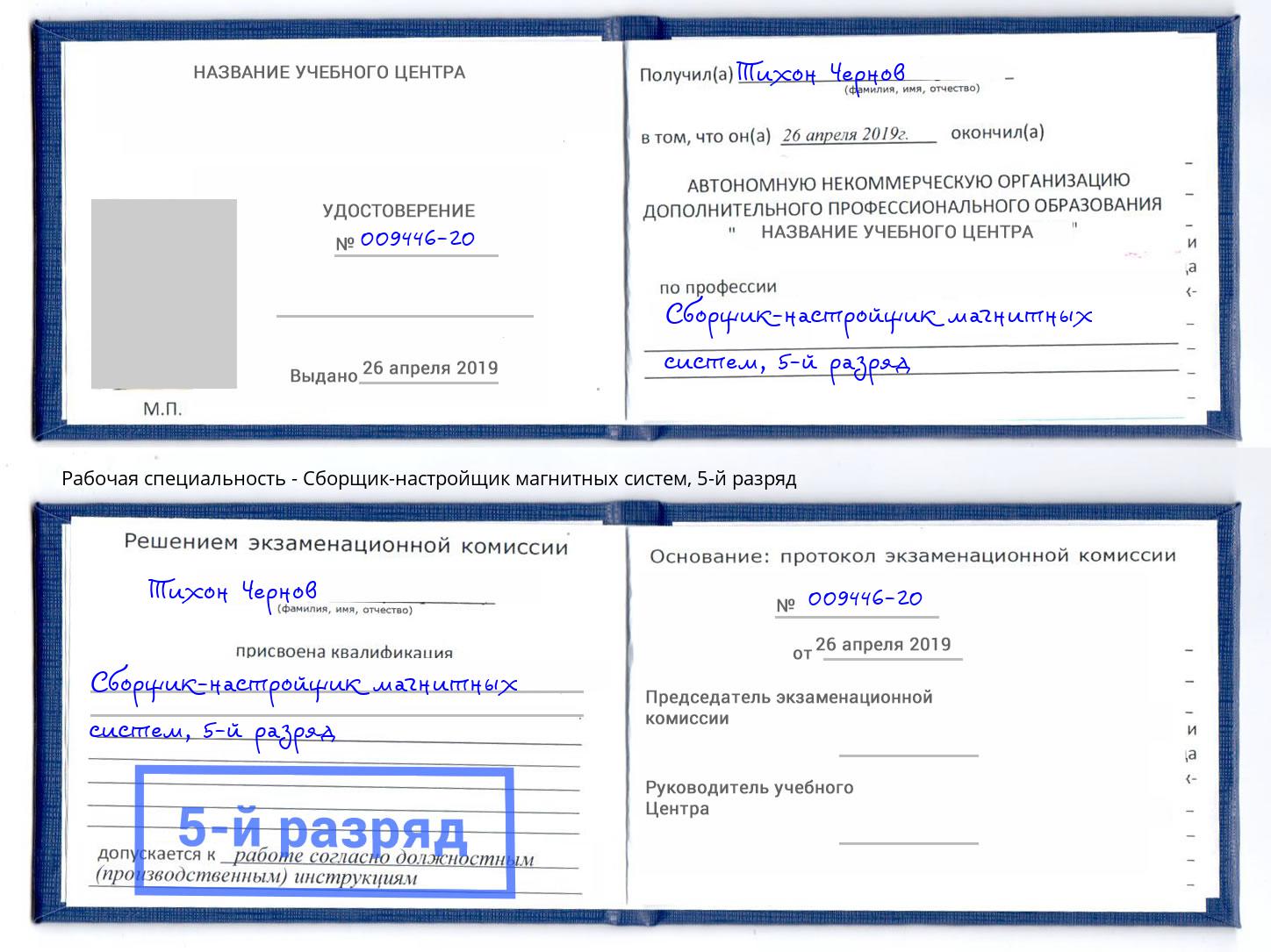 корочка 5-й разряд Сборщик-настройщик магнитных систем Бирск